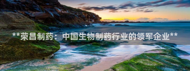 老哥俱乐部是干什么的：**荣昌制药：中国生物制药行业的领军企业**