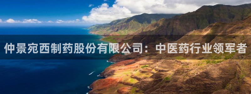九游老哥俱乐部官网登录入口：仲景宛西制药股份有限公司：中医药行业领军者