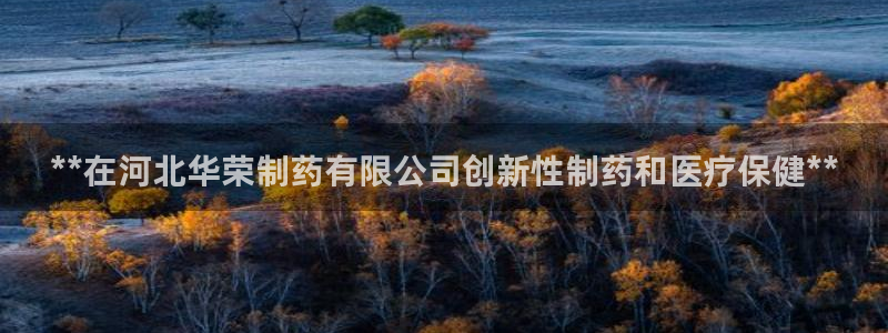 九游会老哥俱乐部官方网站：**在河北华荣制药有限公司创新性制药和医疗保健**
