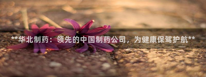 九游会老哥俱乐部官方网站：**华北制药：领先的中国制药公司，为健康保驾护航**