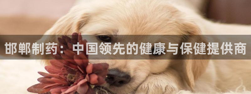 ag九游会老哥：邯郸制药：中国领先的健康与保健提供商