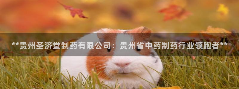 九游会老哥必备的交流社区：**贵州圣济堂制药有限公司：贵州省中药制药行业领跑者**