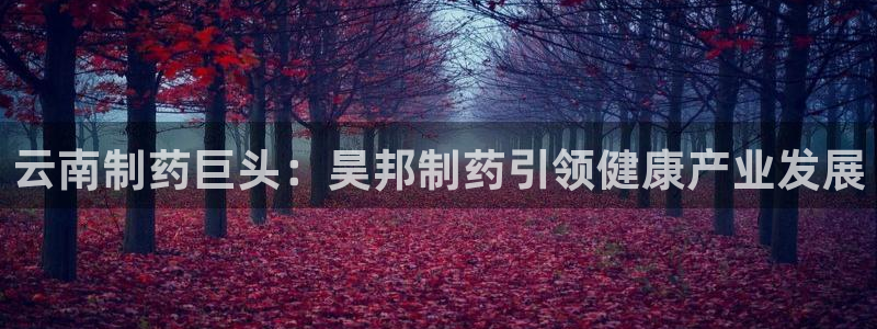 九游会老哥俱乐部官网：云南制药巨头：昊邦制药引领健康产业发展