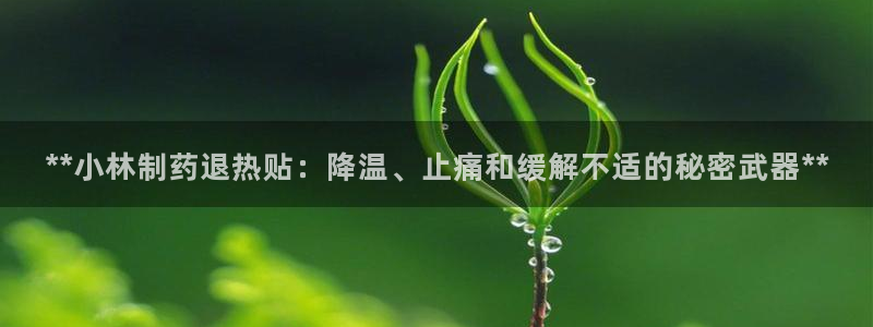 老哥俱乐部是干什么的啊：**小林制药退热贴：降温、止痛和缓解不适的秘密武器**