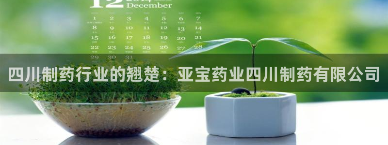 九游会老哥俱乐部官网首页：四川制药行业的翘楚：亚宝药业四川制药有限公司