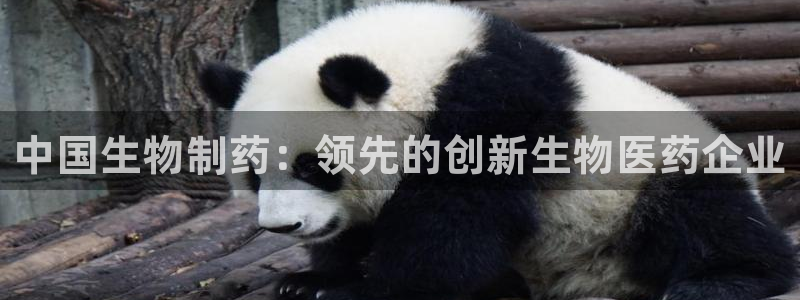 9游会老哥俱乐部：中国生物制药：领先的创新生物医药企业
