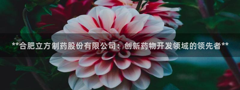 ag九游老哥俱乐部：**合肥立方制药股份有限公司：创新药物开发领域的领先者**