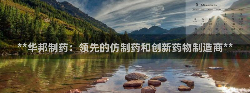 老哥吧九游会：**华邦制药：领先的仿制药和创新药物制造商**