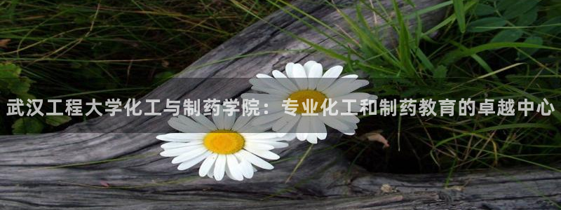 老哥吧九游会下架吗：武汉工程大学化工与制药学院：专业化工和制药教育的卓越中心