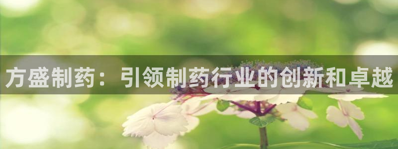 九游会老哥俱乐部官网首页：方盛制药：引领制药行业的创新和卓越