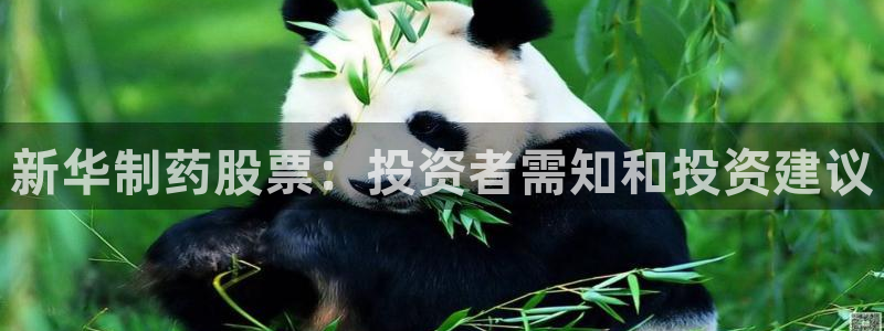 九游会老哥俱乐部官网首页：新华制药股票：投资者需知和投资建议