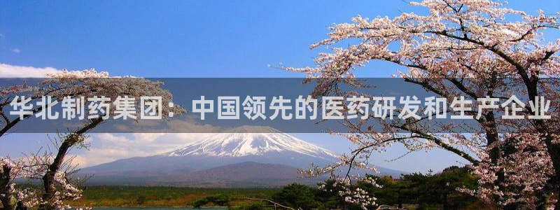 九游老哥俱乐部登录：华北制药集团：中国领先的医药研发和生产企业