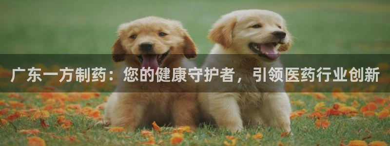 老哥俱乐部是干什么的啊：广东一方制药：您的健康守护者，引领医药行业创新