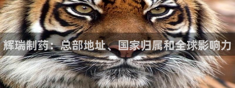 九游会老哥俱乐部官网首页论坛：辉瑞制药：总部地址、国家归属和全球影响力