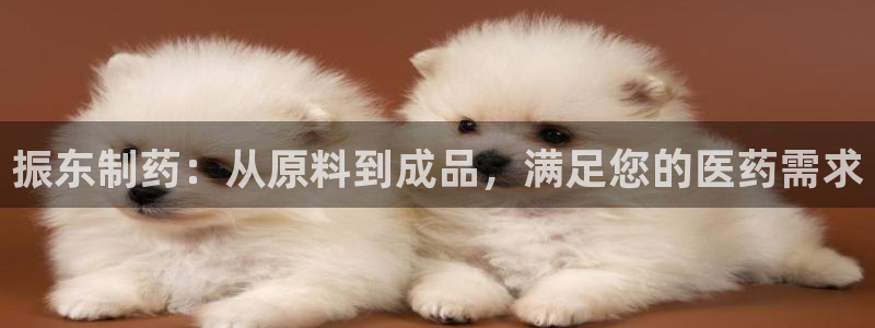 ag九游会老哥俱乐部：振东制药：从原料到成品，满足您的医药需求