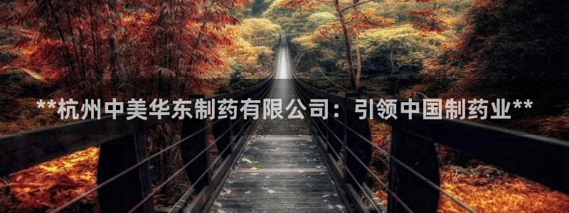九游老哥俱乐部官网登录不了：**杭州中美华东制药有限公司：引领中国制药业**