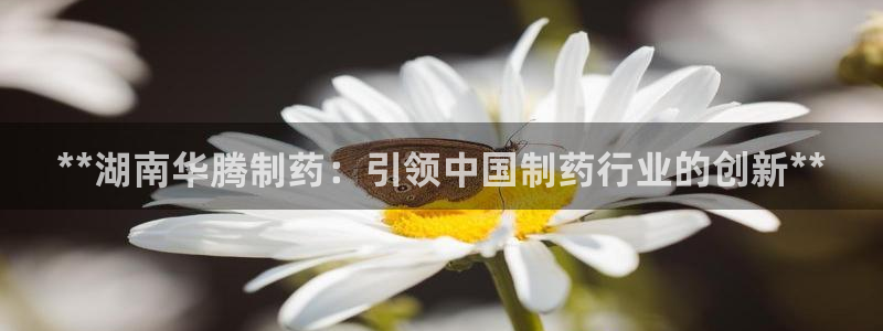 老哥吧九游会：**湖南华腾制药：引领中国制药行业的创新**