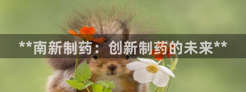 九游会老哥俱乐部必备的交流社区：**南新制药：创新制药的未来**
