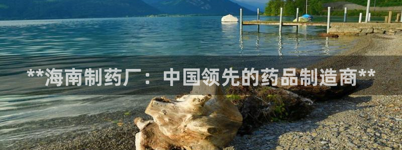 usdt九游会老哥俱乐部：**海南制药厂：中国领先的药品制造商**