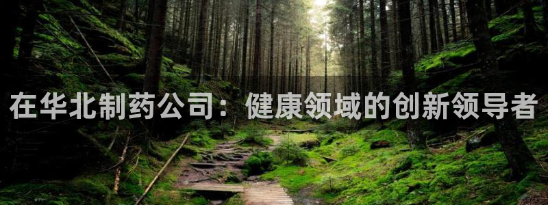 老哥俱乐部是干什么的啊：在华北制药公司：健康领域的创新领导者