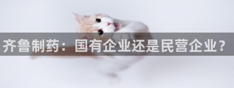 usdt九游会老哥俱乐部：齐鲁制药：国有企业还是民营企业？