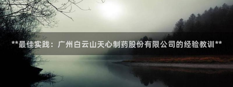 九游会老哥俱乐部：**最佳实践：广州白云山天心制药股份有限公司的经验教训**
