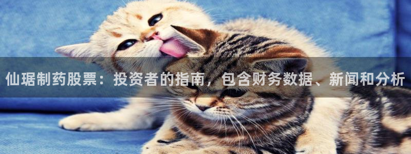九游会老哥俱乐部官网首页论坛：仙琚制药股票：投资者的指南，包含财务数据、新闻和分析
