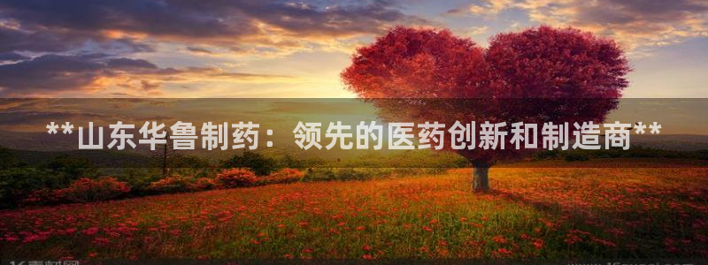 九游会老哥必备的交流社区：**山东华鲁制药：领先的医药创新和制造商**