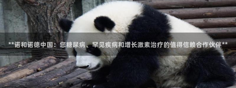 九游会老哥俱乐部官网：**诺和诺德中国：您糖尿病、罕见疾病和增长激素治疗的值得信赖合作伙伴**