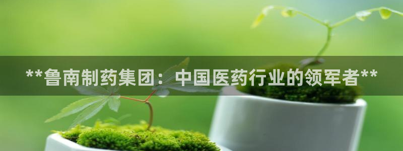 9游会老哥俱乐部：**鲁南制药集团：中国医药行业的领军者**
