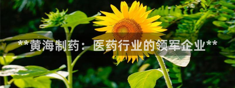 九游会老哥俱乐部官网：**黄海制药：医药行业的领军企业**