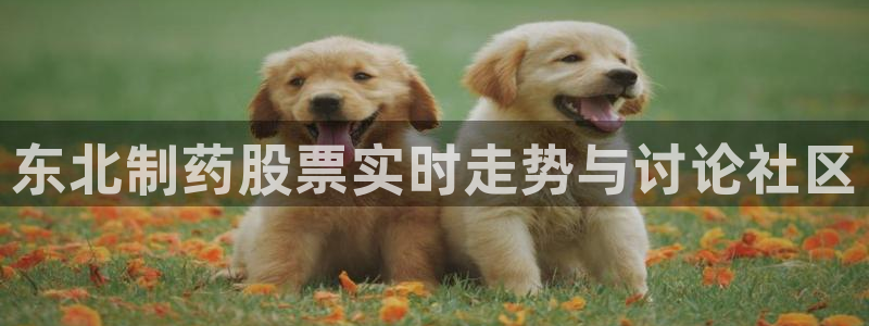 老哥俱乐部是干什么的啊：东北制药股票实时走势与讨论社区