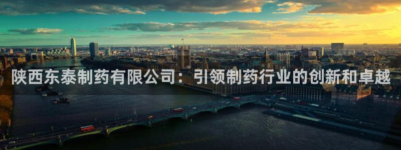 老哥俱乐部是干什么的啊：陕西东泰制药有限公司：引领制药行业的创新和卓越