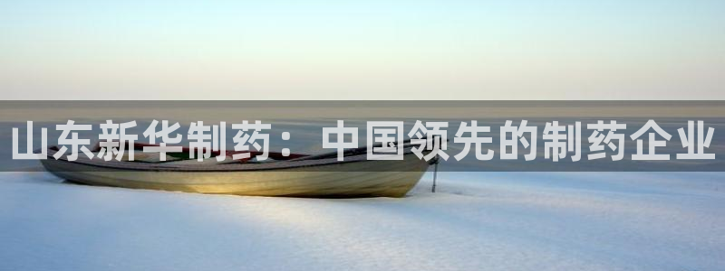 九游老哥俱乐部官网登录入口：山东新华制药：中国领先的制药企业