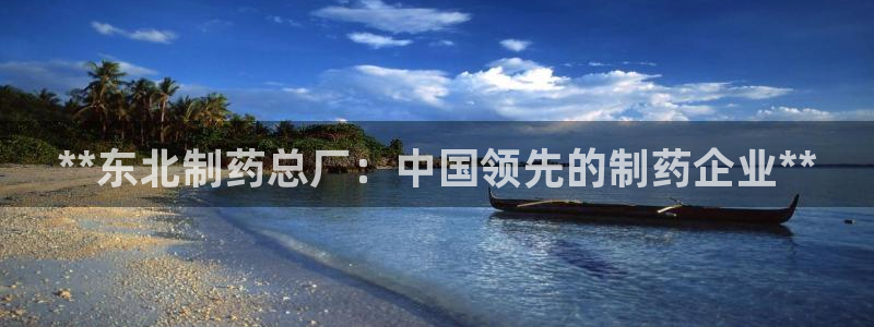 ag九游会老哥：**东北制药总厂：中国领先的制药企业**