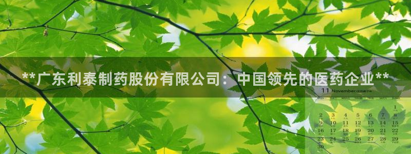 九游会老哥必备的交流社区：**广东利泰制药股份有限公司：中国领先的医药企业**