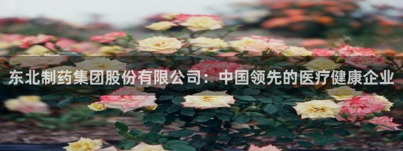 ag九游会老哥：东北制药集团股份有限公司：中国领先的医疗健康企业
