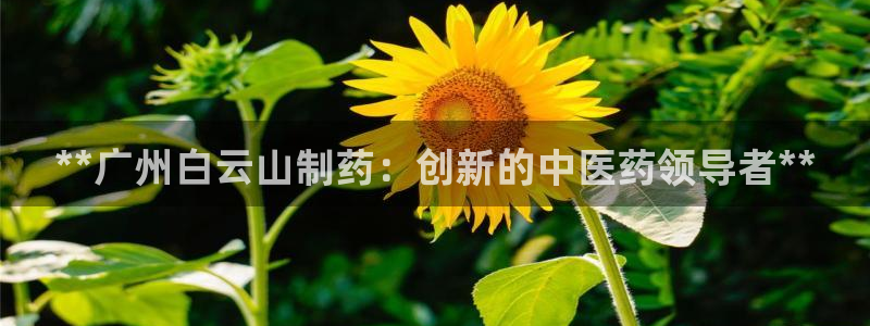 九游老哥俱乐部官网登录网址：**广州白云山制药：创新的中医药领导者**