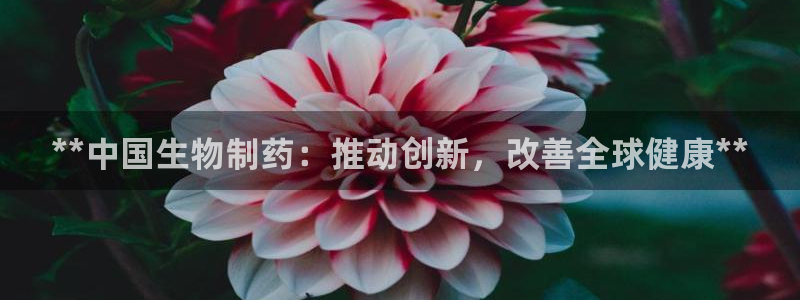九游会老哥俱乐部交流社区：**中国生物制药：推动创新，改善全球健康**