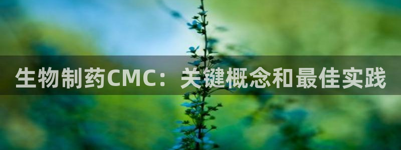 ag九游会老哥俱乐部：生物制药CMC：关键概念和最佳实践