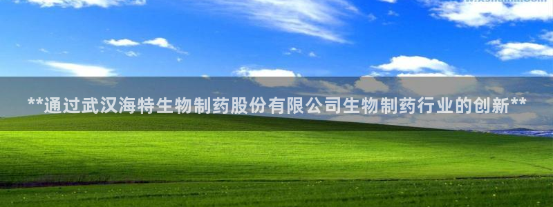j9九游会老哥俱乐部交流区：**通过武汉海特生物制药股份有限公司生物制药行业的创新**