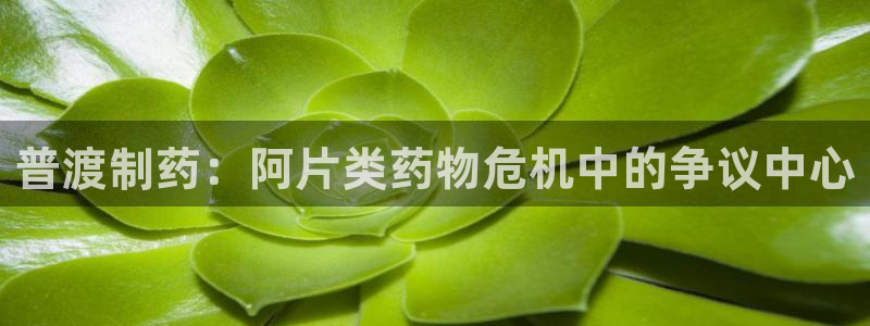 九游会老哥俱乐部交流社区：普渡制药：阿片类药物危机中的争议中心
