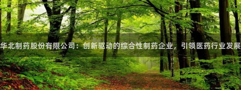 ag九游会老哥：华北制药股份有限公司：创新驱动的综合性制药企业，引领医药行业发展