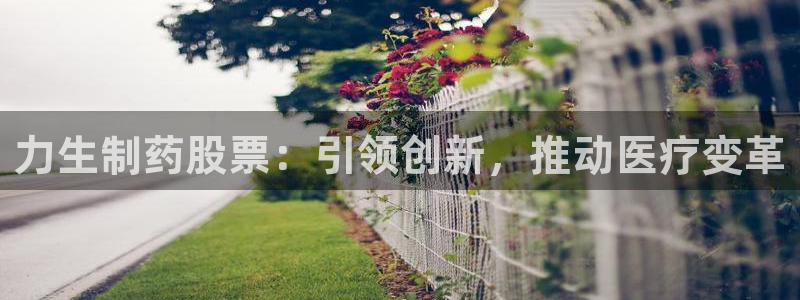 九游会老哥俱乐部交流社区：力生制药股票：引领创新，推动医疗变革