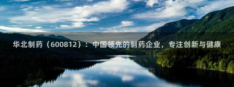 九游会老哥俱乐部必备的交流社区：华北制药（600812）：中国领先的制药企业，专注创新与健康