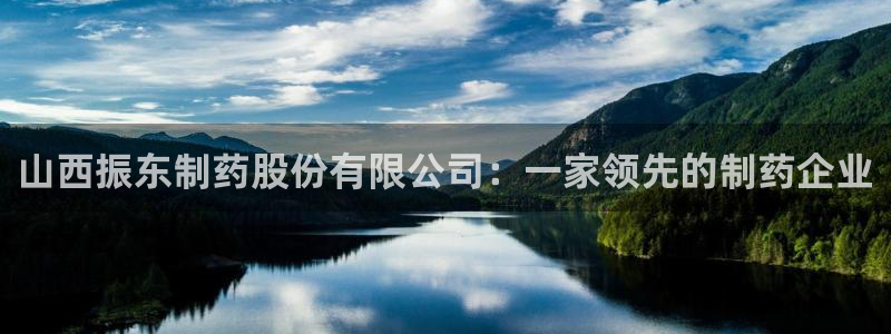 老哥吧九游会：山西振东制药股份有限公司：一家领先的制药企业