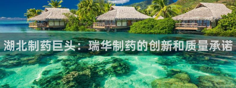 九游会老哥：湖北制药巨头：瑞华制药的创新和质量承诺