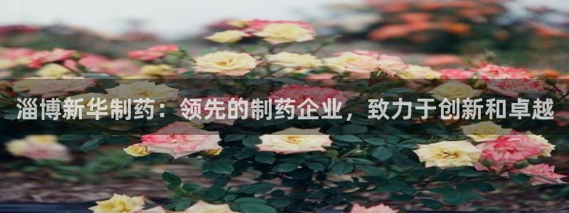 九游会老哥：淄博新华制药：领先的制药企业，致力于创新和卓越