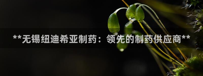 九游老哥俱乐部官网登录入口：**无锡纽迪希亚制药：领先的制药供应商**