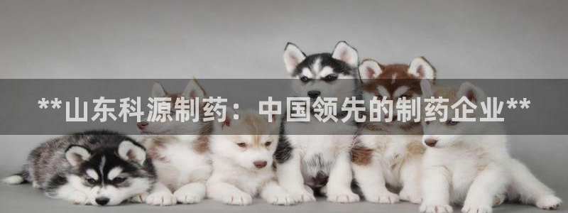 9游会老哥：**山东科源制药：中国领先的制药企业**